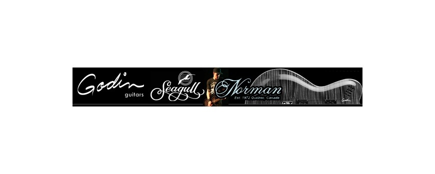 Nove Godin, Norman i Seagull gitare