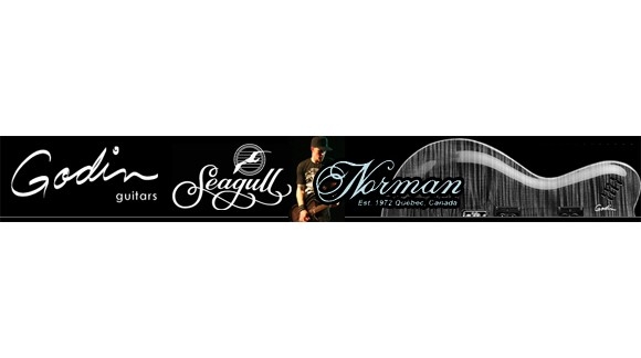 Nove Godin, Norman i Seagull gitare