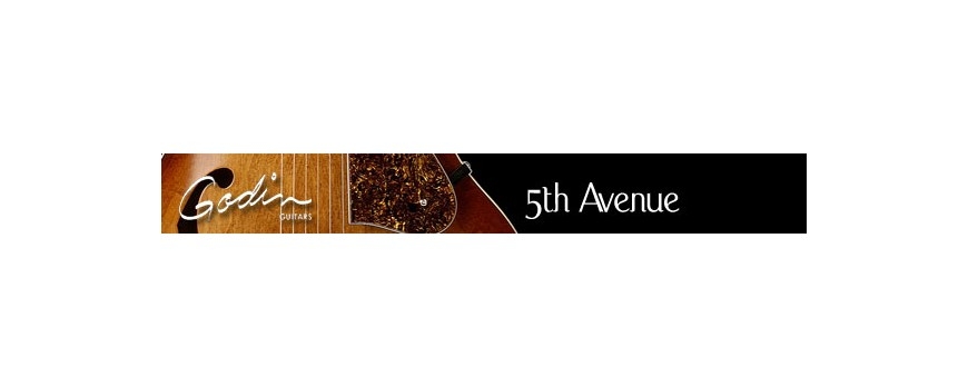 Godin 5th Avenue tric